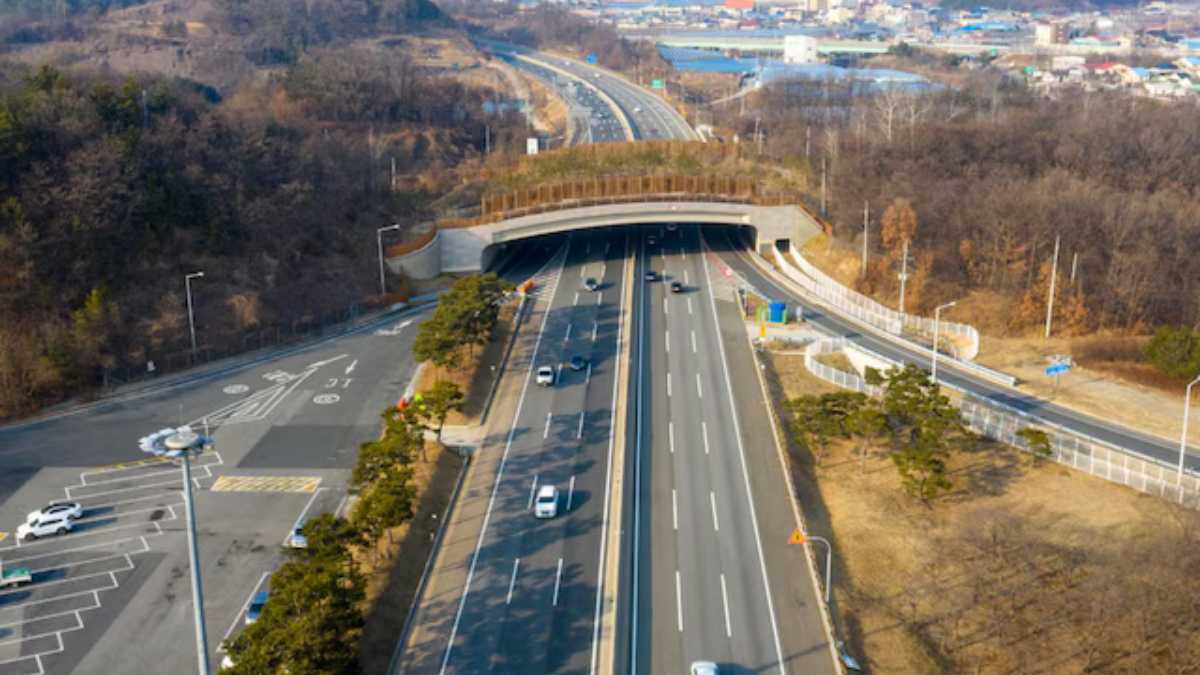 Delhi Jaipur Expressway 2025