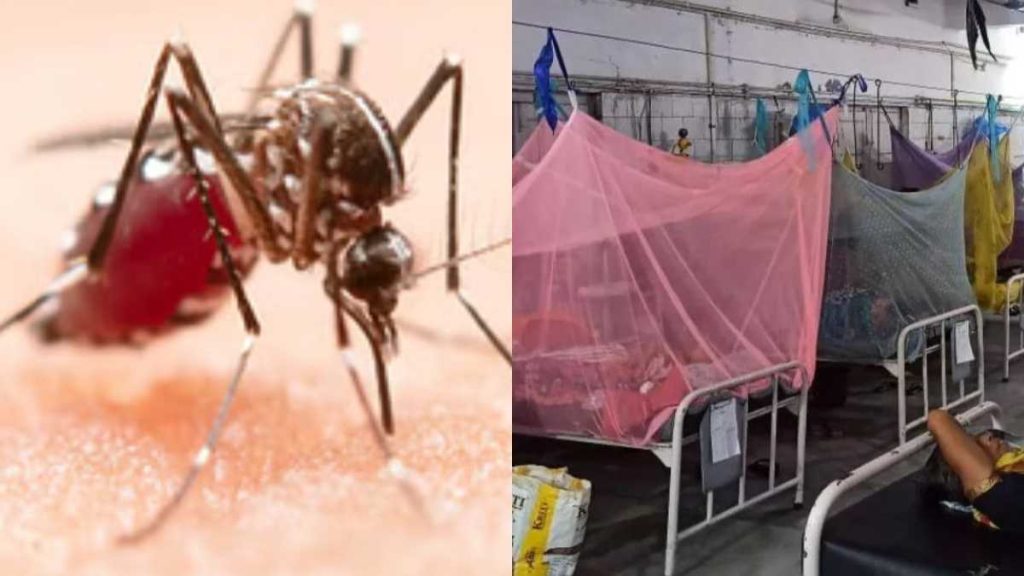 Dengue In Bihar